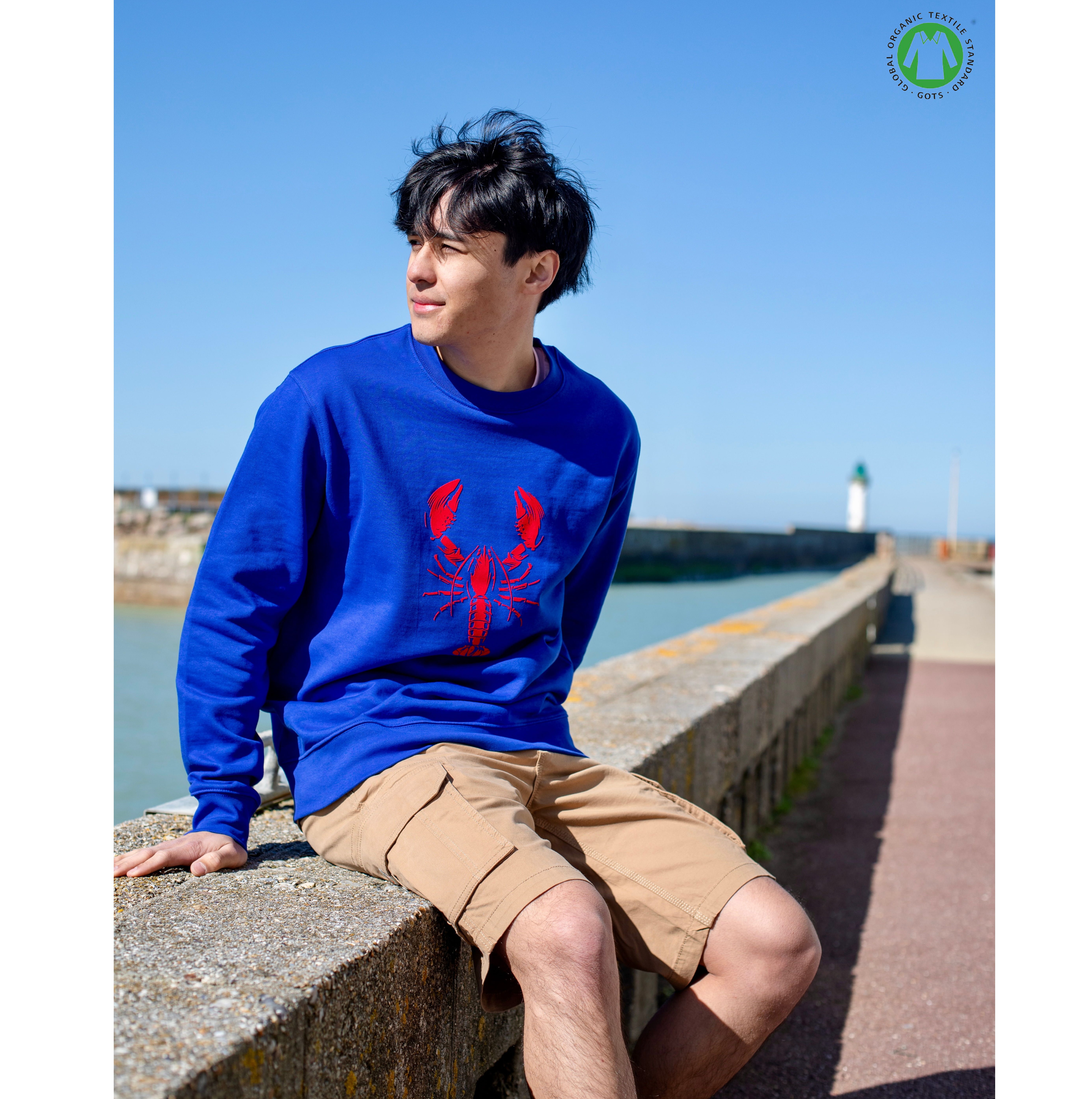 SWEAT HOMARD BLEU